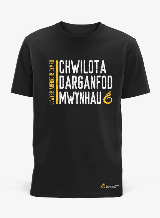 Chwilota Crys-T